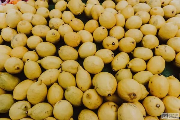 Fresh Guavas