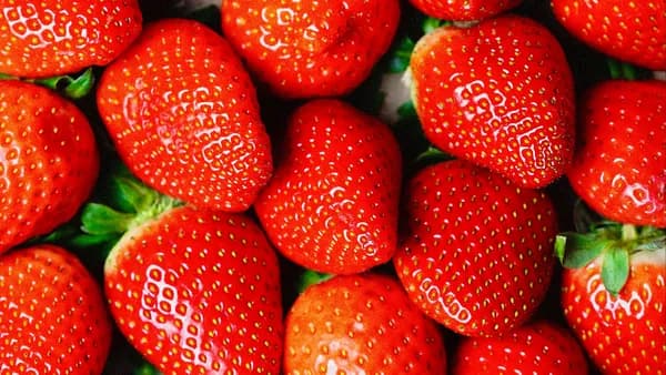 Fresh Strawberries