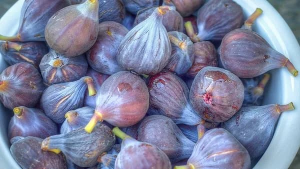 Frozen Barshumi Figs