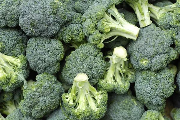 Frozen Broccoli